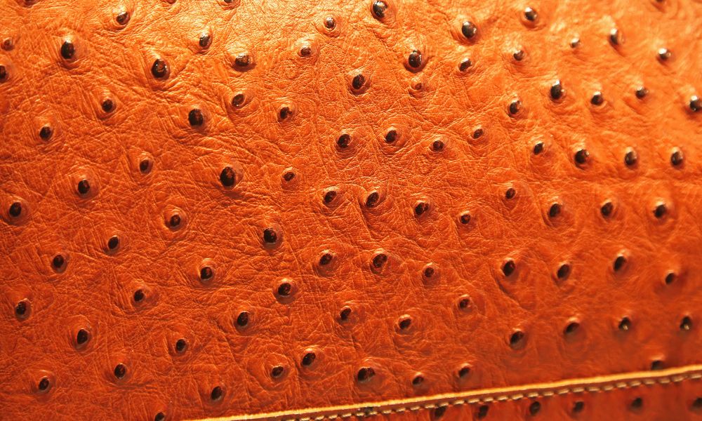 real ostrich leather