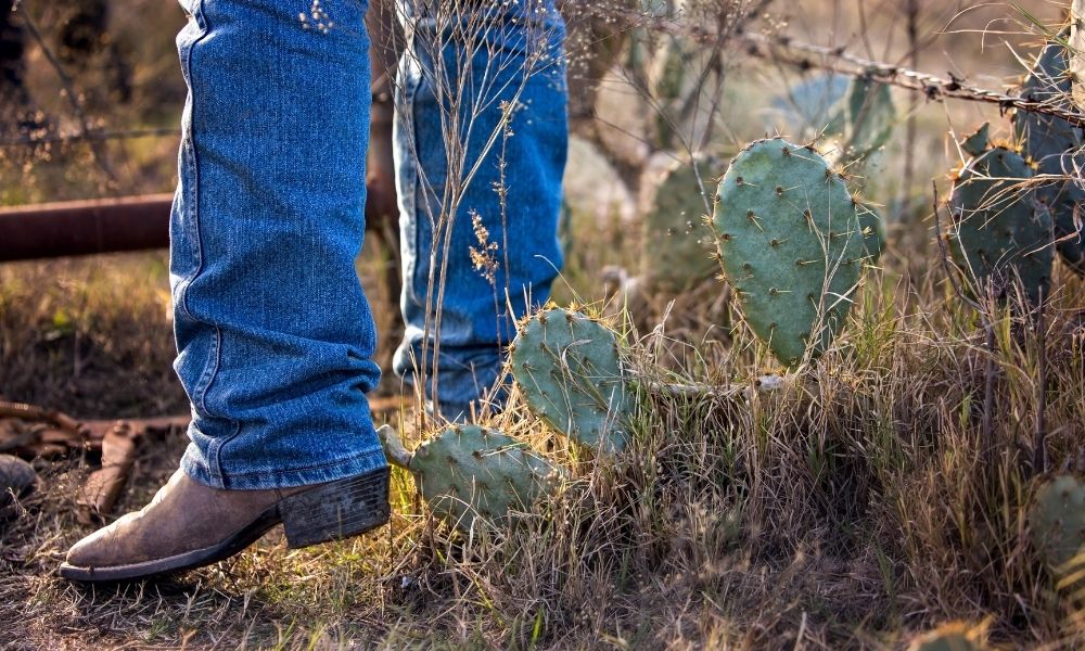 How Do You Know if Your Cowboy Boots Fit Properly? – Country View