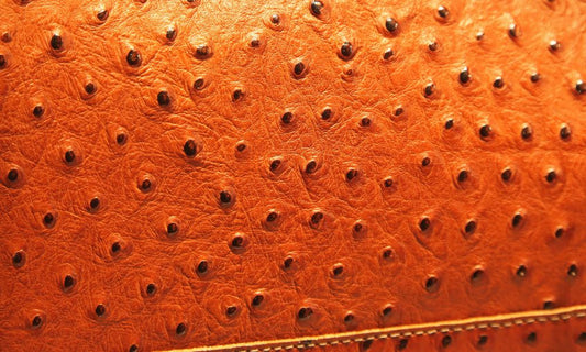 The Difference Between Half and Full Quill Ostrich Leather