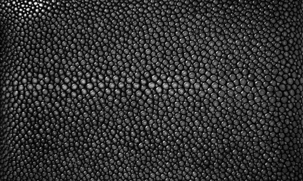 Stingray 7 Tips for Caring for the Toughest Leather Country View