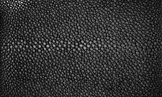 Stingray: 7 Tips for Caring for the Toughest Leather