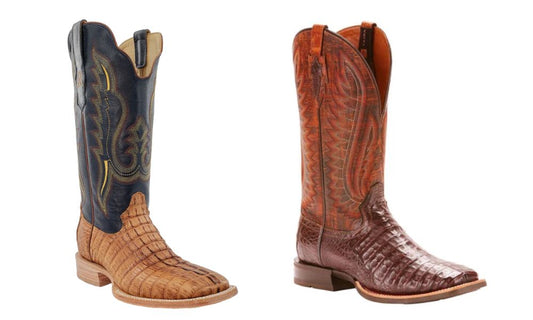 Hornback Caiman vs. Caiman Belly Leather