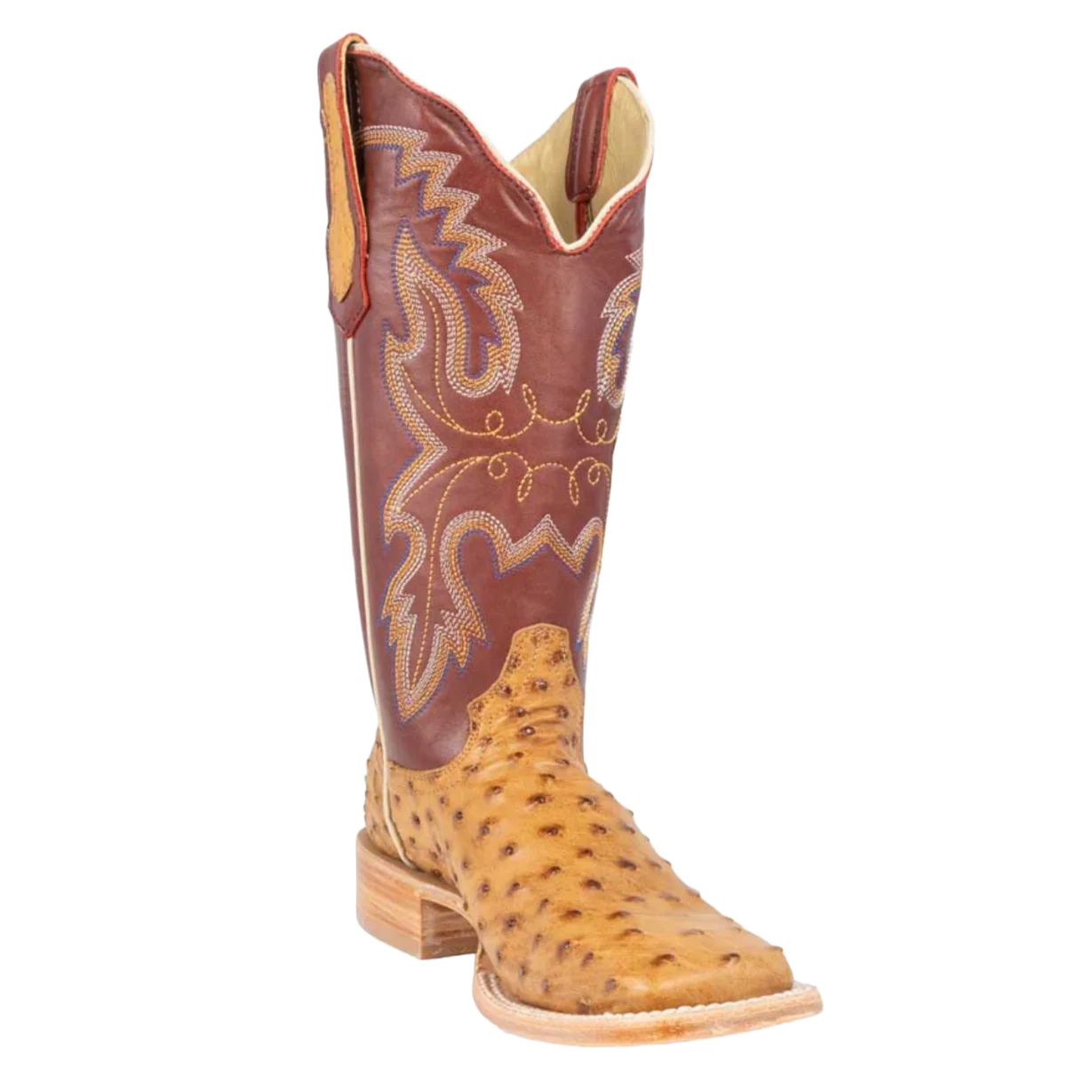 R Watson R Watson® Ladies Saddle Bruciato Full Quill Boots RWL4304-2