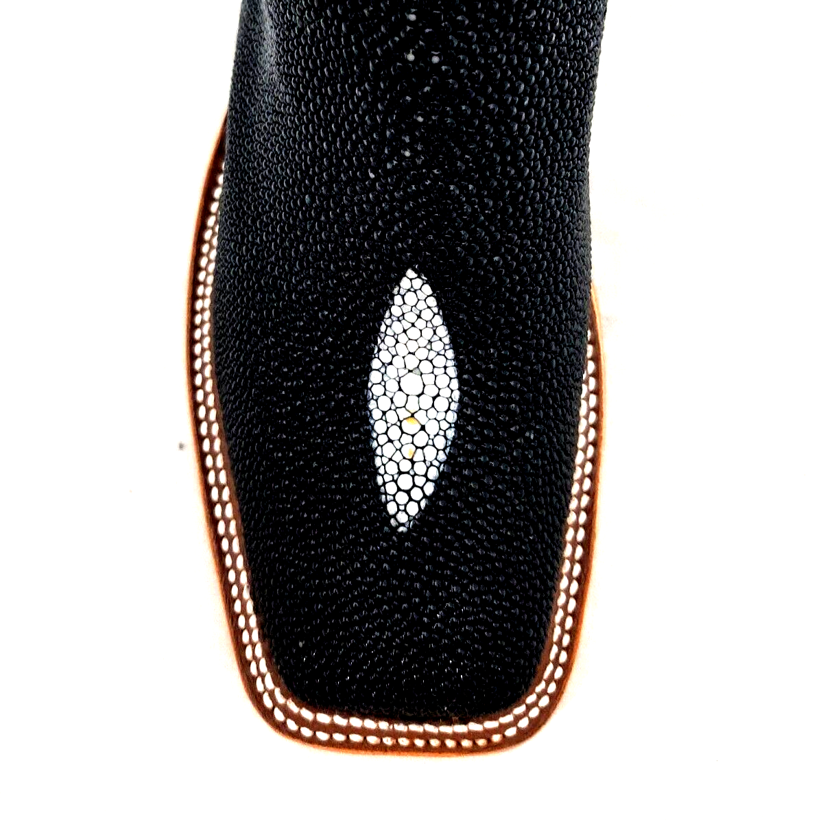 Anderson bean shop stingray